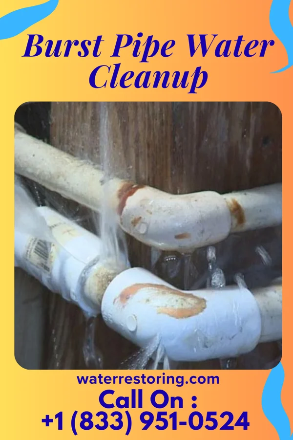 Burst Pipe Water Cleanup in Taos Pueblo, NM